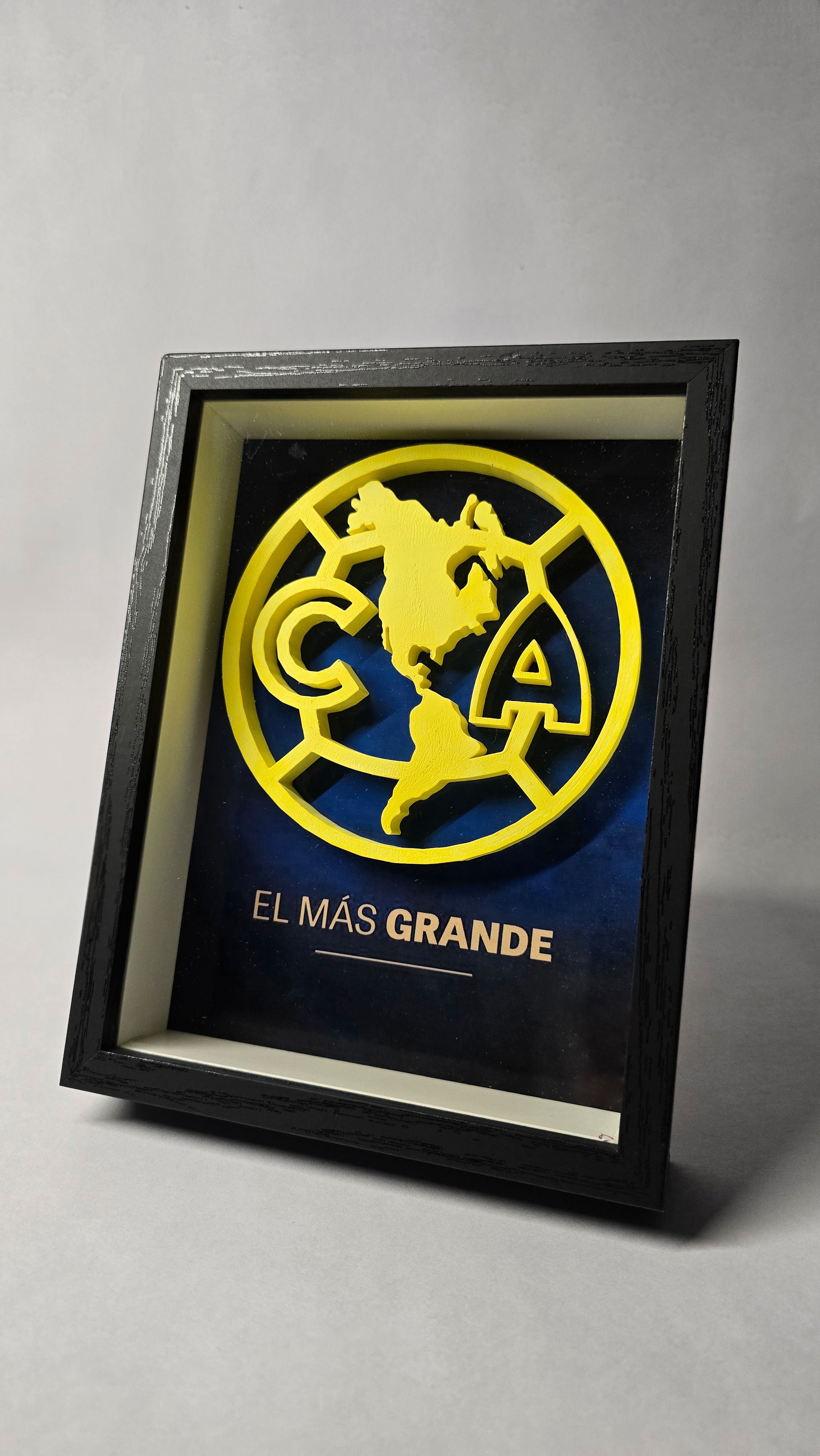 Cuadro del Club America