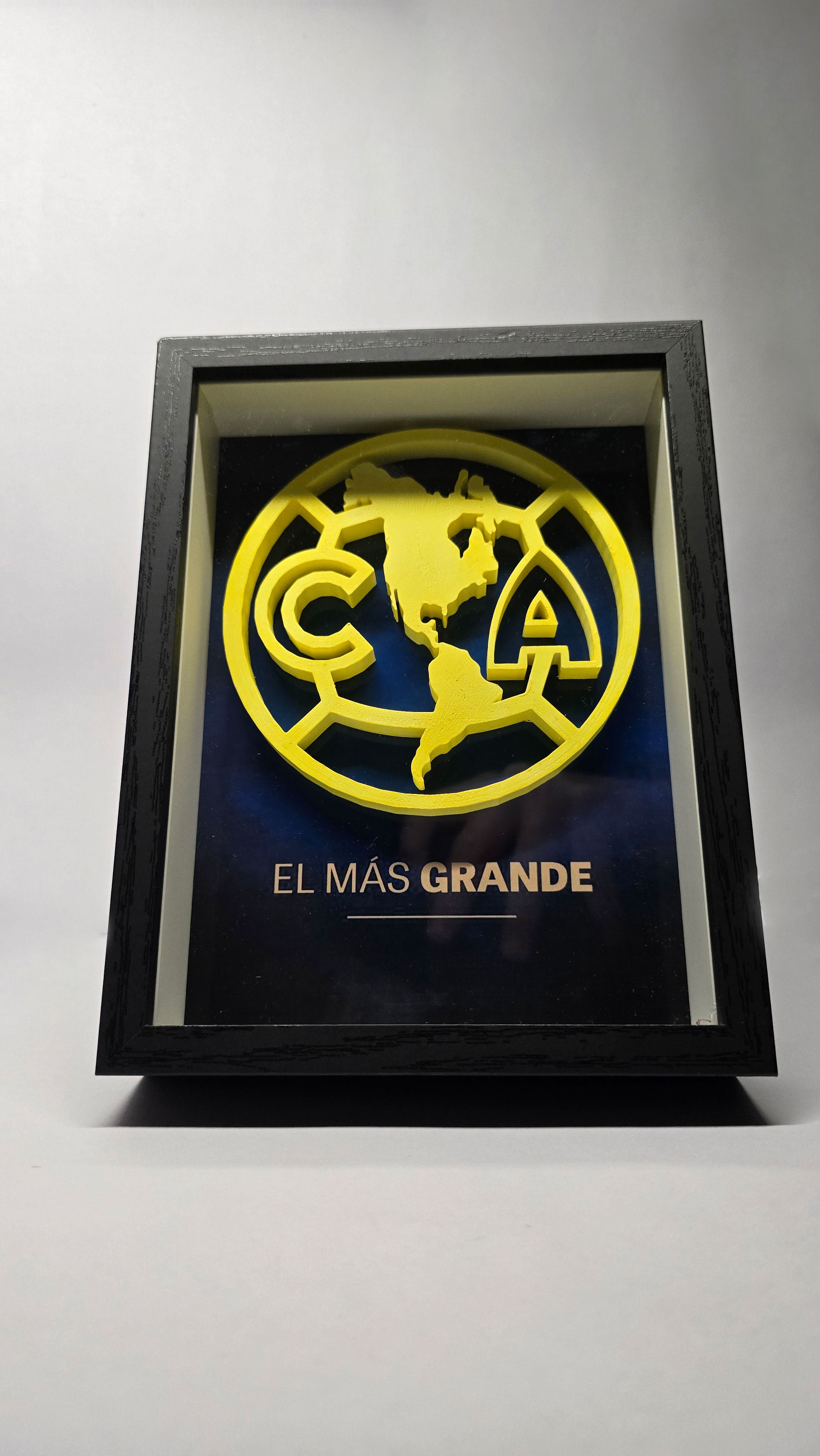 Cuadro del Club America