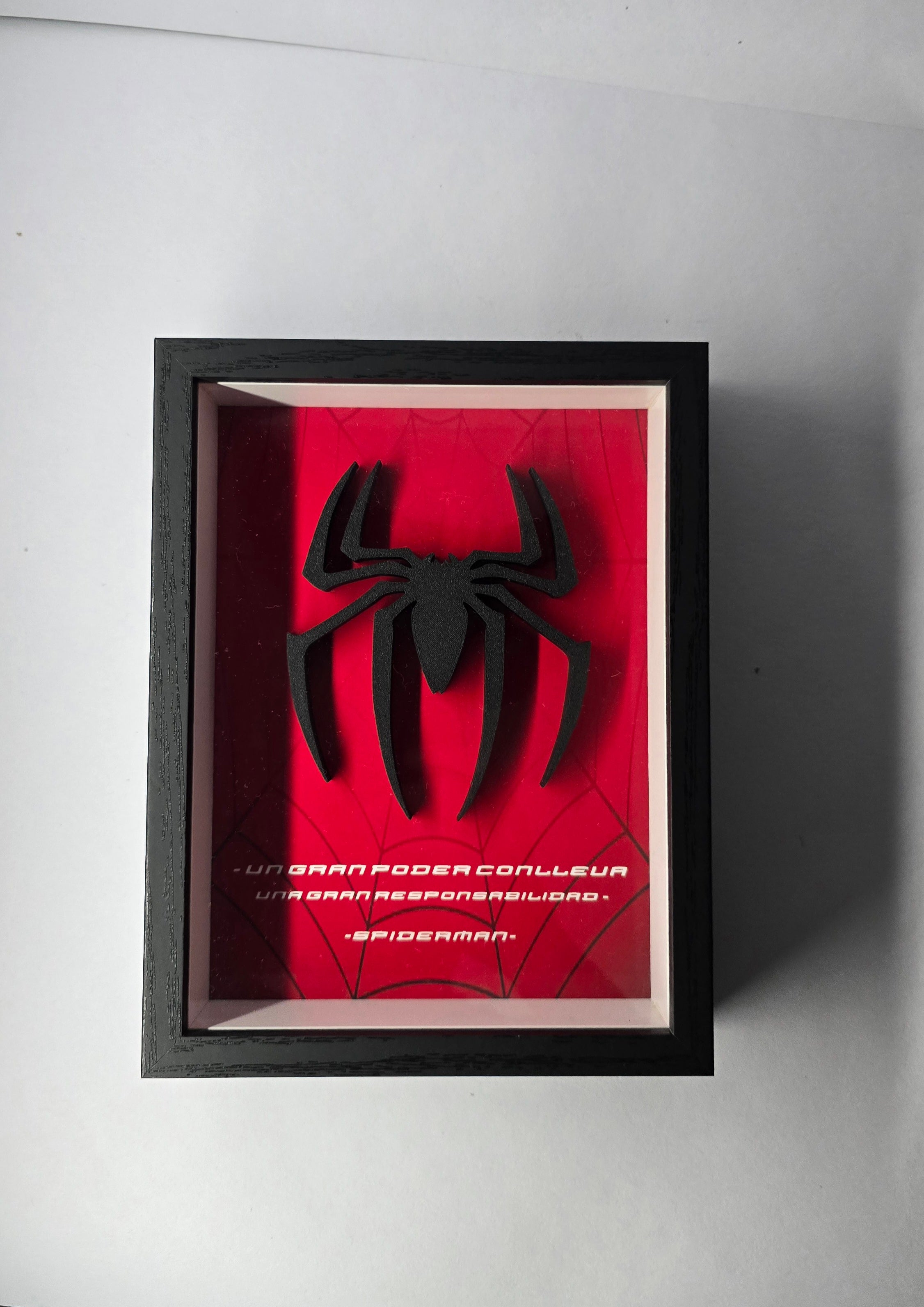 Cuadro Spiderman